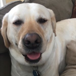 Meet your Posher, Leah